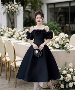 Alternative view of រ៉ូបស្រី